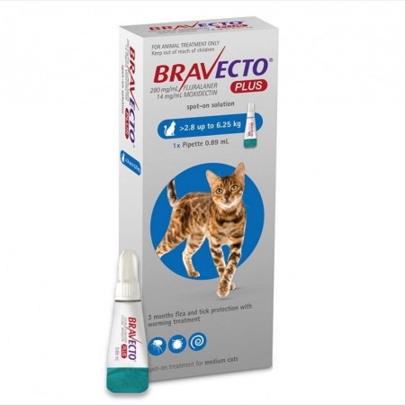 Pipeta deparazitare interna externa Bravecto Plus Spot On 250 mg pisici 2.8 - 6.25kg