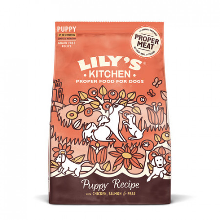 Lily's Kitchen, hrana uscata pentru caini juniori, cu pui si somon 7kg