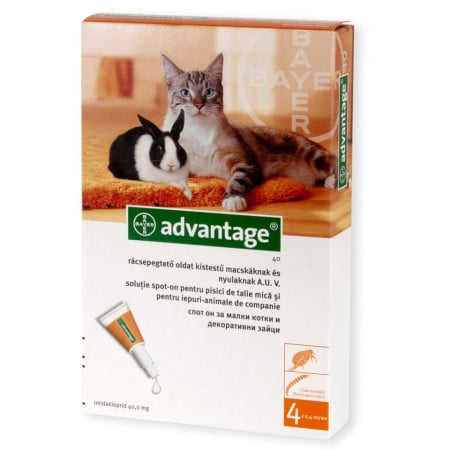 Advantage cat <4kg pipeta antiparazitara pisici