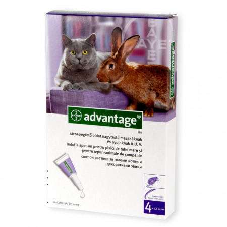 Advantage cat 4-8kg pipeta antiparazitara pisici