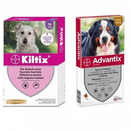 Pachet Kiltix L + Advantix 40-60kg