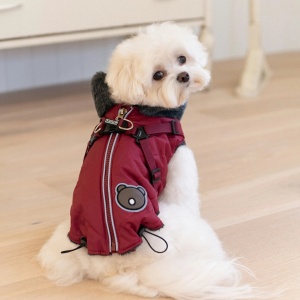 Haina caini Puppia Isolde PAYD-VT2125