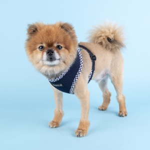 Ham caini Puppia Vivien Check PASD-AC1680 - Img 4