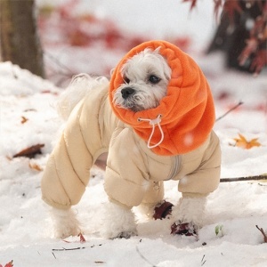 Haina caini Puppia Snood Padding PAYD-JP2158 - Img 4