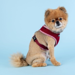Ham caini Puppia Vivien Check PASD-AC1680 - Img 5