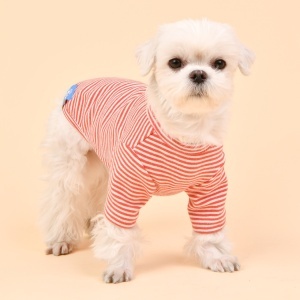 Haina caini Olchi Stripe OAUD-TS6195