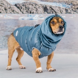 Haina caini Puppia Glacier Snood  - Img 8