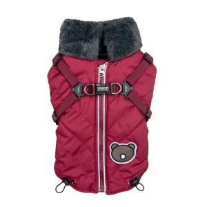 Haina caini Puppia Isolde PAYD-VT2125 - Img 3
