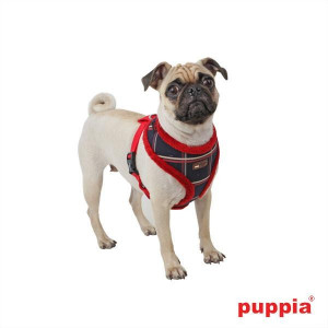 Ham caini Puppia Scholastic - Img 5