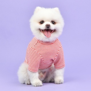Haina caini Olchi Stripe OAUD-TS6195 - Img 2