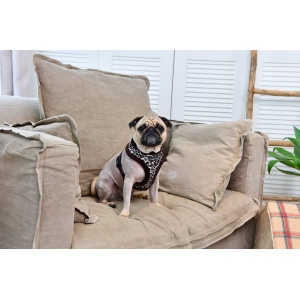 Ham caini Puppia Leonard PARD-HA1560 - Img 3