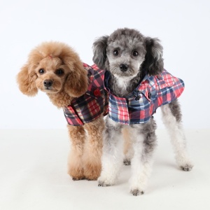 Haina caini Puppia Barrington PAPA-RM1322 (de ploaie) - Img 2