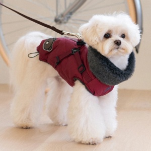 Haina caini Puppia Isolde PAYD-VT2125 - Img 2
