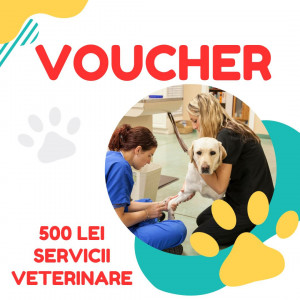 Voucher 500 lei Servicii veterinare