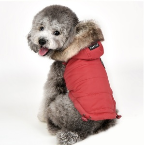 Haina caini Puppia Hollis PAUD-VT1850 (2 fete)