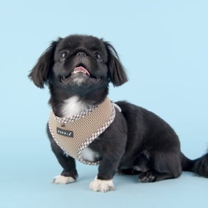 Ham caini Puppia Vivien Check PASD-AC1680 - Img 3