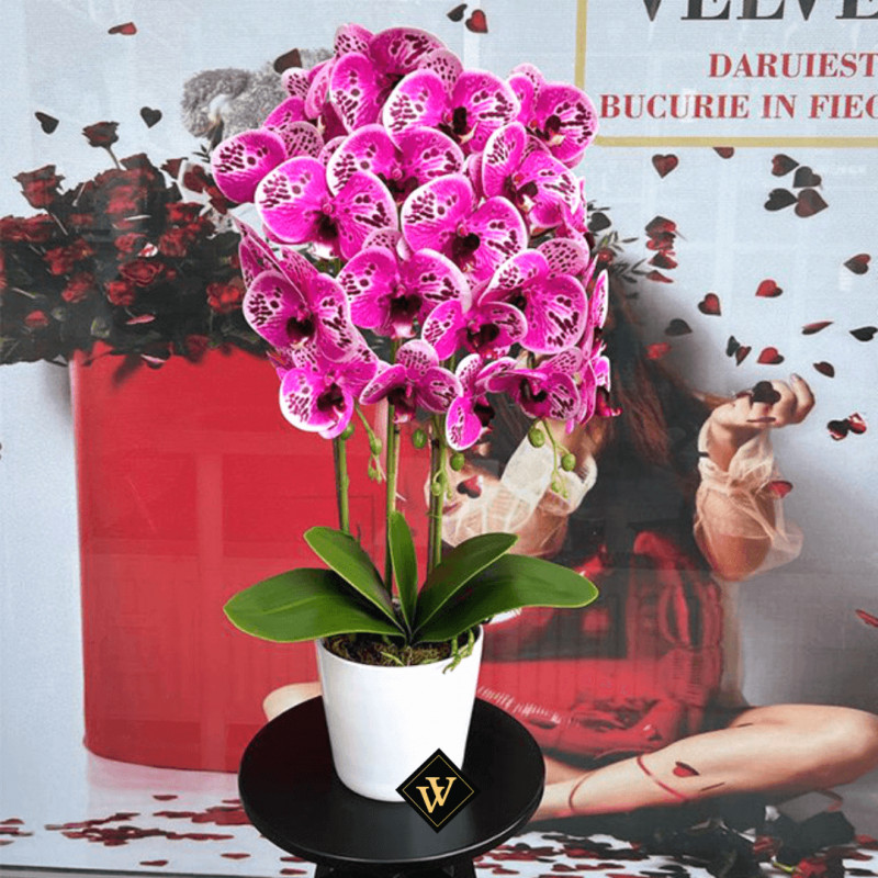 Orhidee artificiala cu aspect natural - un cadou special pentru ea