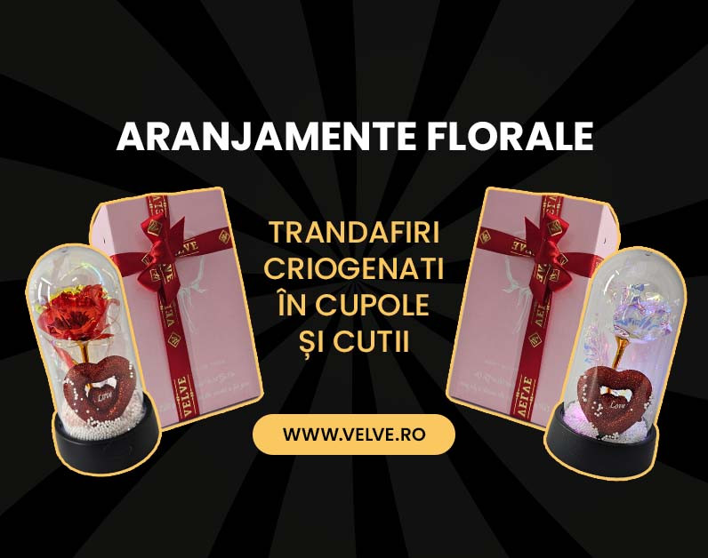 Aranjamente Florale cu Trandafiri Criogenati în Cupole și Cutii
