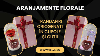 Aranjamente Florale cu Trandafiri Criogenati în Cupole și Cutii