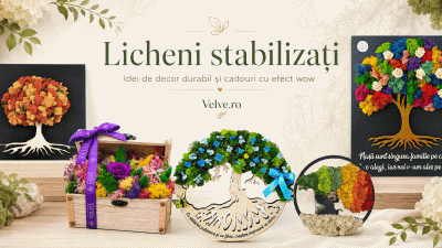 Licheni stabilizați pe Velve.ro – idei de decor durabil și cadouri cu efect wow