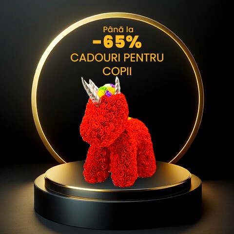 Black Friday | Velve.ro - Reduceri Fabuloase la Pachete Pentru Copii
