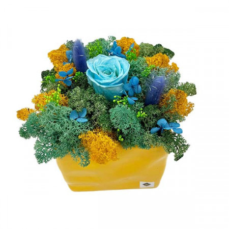 Aranjament floral Squerees, in vas patrat cu licheni stabilizati, trandafir criogenat blue, lagurus si hortensii