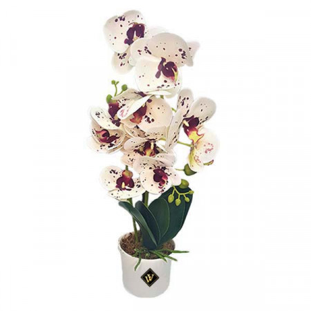 Orhidee alb-mov cu aspect natural in ghiveci ceramic alb, 50 cm
