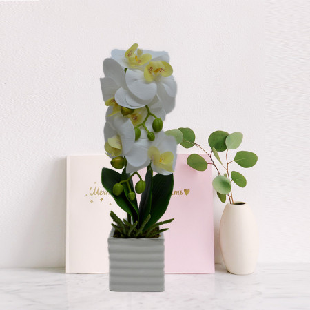 Orhidee cu aspect natural in ghiveci ceramic patrat alb, 35 cm