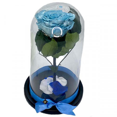 Trandafir Criogenat cu accesorii, blat negru, pe pat de petale, blue