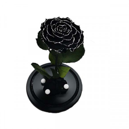 Trandafir Criogenat cu accesorii, blat negru, pe pat de petale, negru