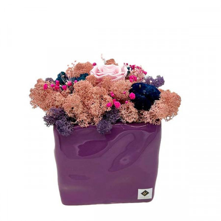 Aranjament floral Squerees, in vas patrat cu licheni stabilizati, trandafir criogenat roz si achillea burghundi, Mov