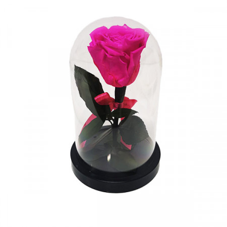 Trandafir criogenat cu funda, in cupola de plastic, pe blat negru, roz