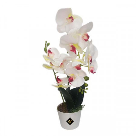 Orhidee alba cu aspect natural in ghiveci ceramic alb, 50 cm
