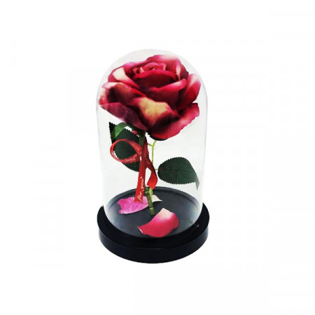 Trandafir artificial in cupola de plastic, pe blat negru, rosu-alb, 12 x19 cm