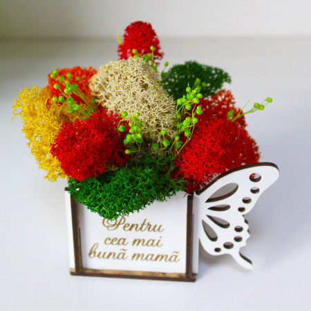Aranjament floral Whiff, in cutie de lemn, cu personalizare serigrafica, licheni stabilizati si plante uscate, Mama/Verde