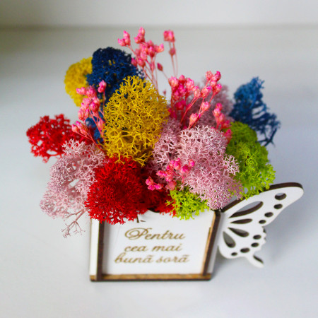Aranjament floral Whiff, in cutie de lemn, cu personalizare serigrafica, licheni stabilizati si plante uscate, Sora/Roz