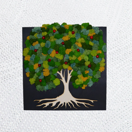 Kwanzan Cherry, tablou cu licheni naturali