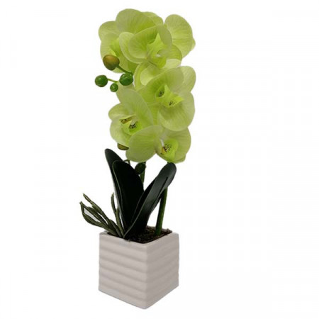 Orhidee cu aspect natural in ghiveci ceramic patrat alb, verde, 35 cm