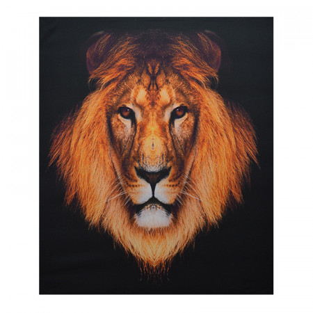 Tablou LED canvas Lion cu leduri lumini 85 x 64 cm