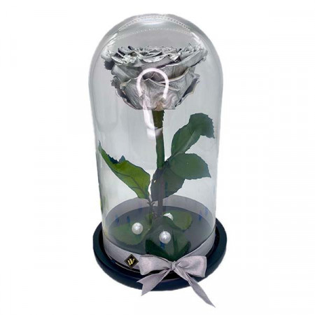 Trandafir Criogenat cu accesorii, blat negru, pe pat de petale, silver