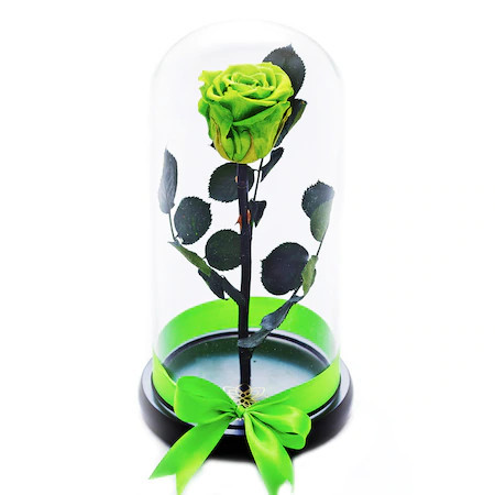 Trandafir Criogenat in cupola de sticla cu blat negru, pe pat de petale, Verde