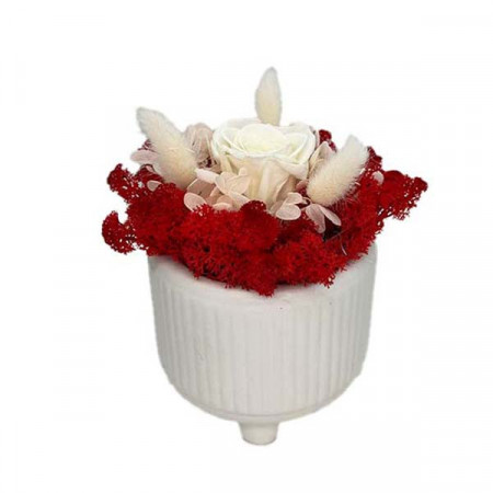 Aranjament floral cu trandafir criogenat pe pat de licheni, in bol ceramic, alb -rosu