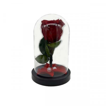 Trandafir criogenat in cupola de plastic, pe pat de petale, rosu