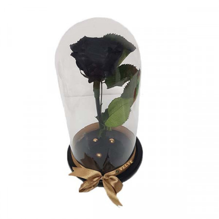 Trandafir Criogenat in cupola pe pat de petale si accesorii, Negru