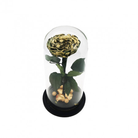 Trandafir Criogenat in cupola, pe pat de petale si accesorii, gold