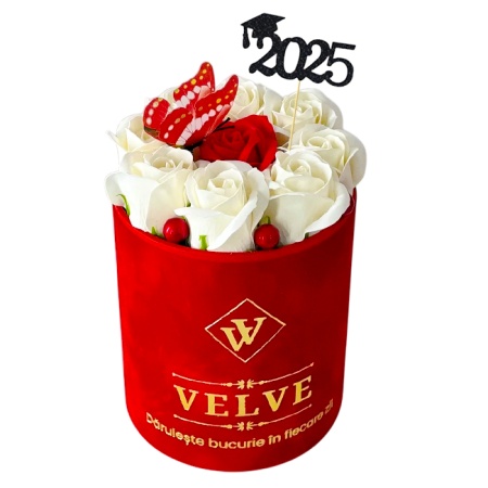 Aranjament floral pentru absolvire VLV, cu 9 trandafiri de sapun, in cutie rosie de catifea, cu fluturas decorativ, Alb-Rosu