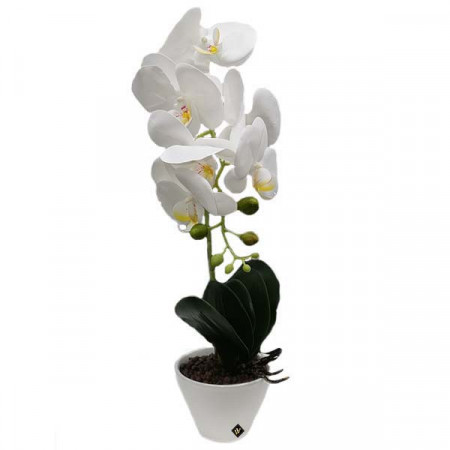 Orhidee alba cu aspect natural in ghiveci ceramic alb, 45 cm