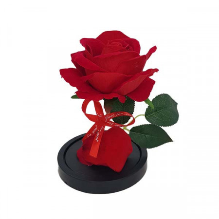 Trandafir artificial in cupola de plastic, pe blat negru, rosu, 12 x19 cm