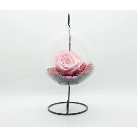 Trandafir Criogenat Glamouroses, roz prafuit, pe pat de licheni stabilizati, in glob de sticla, pe suport metalic