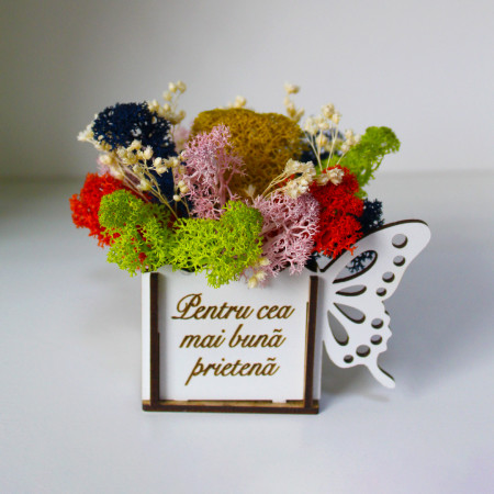Aranjament floral Whiff, in cutie de lemn, cu personalizare serigrafica, licheni stabilizati si plante uscate, Prietena/Crem